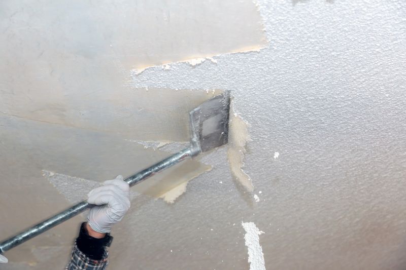 Popcorn Ceiling Removal
