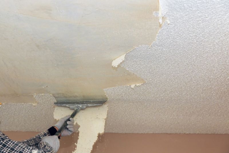 Removing Textured Ceilings